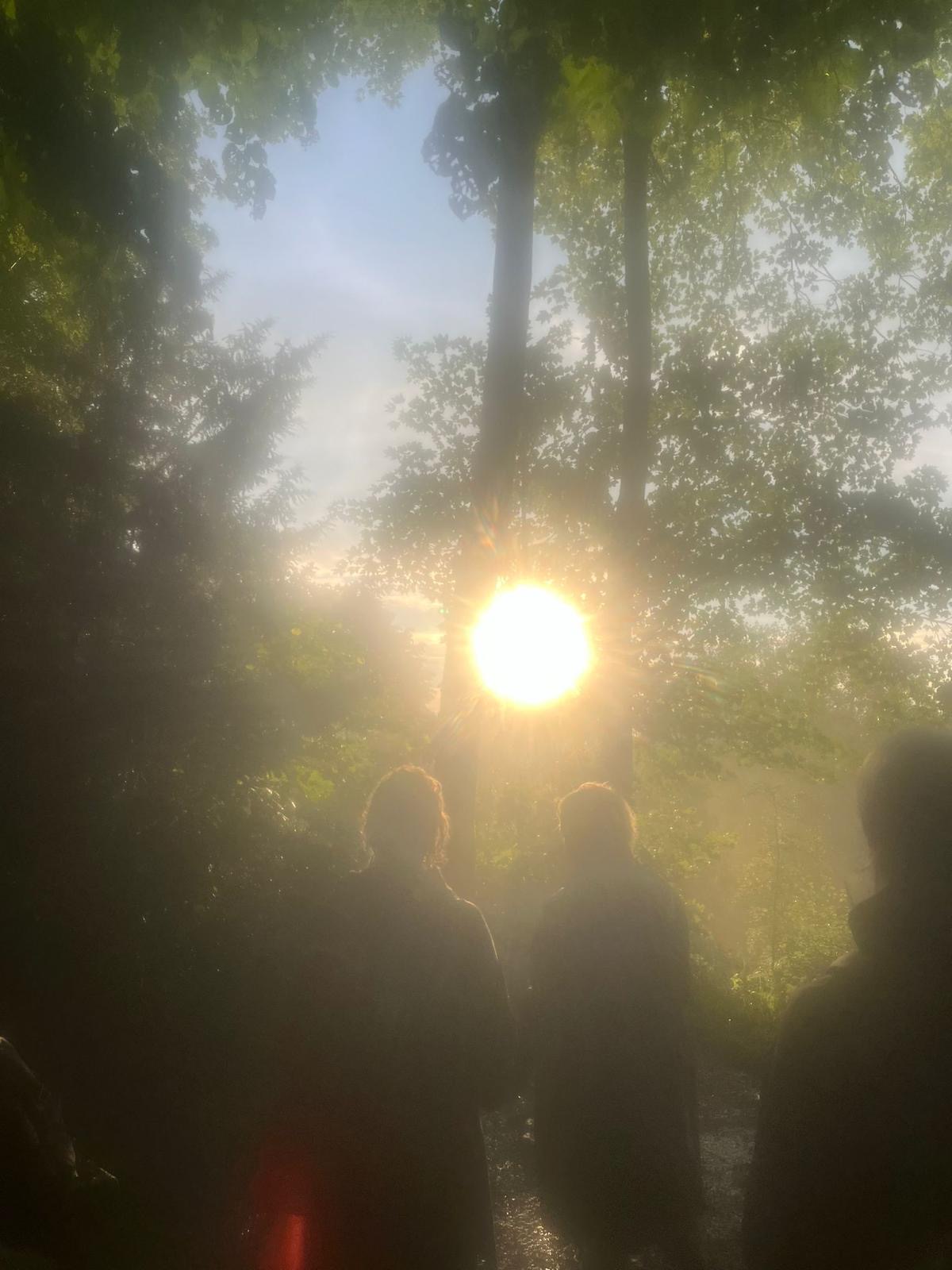 Midzomer 2024, foto Eva van Dort